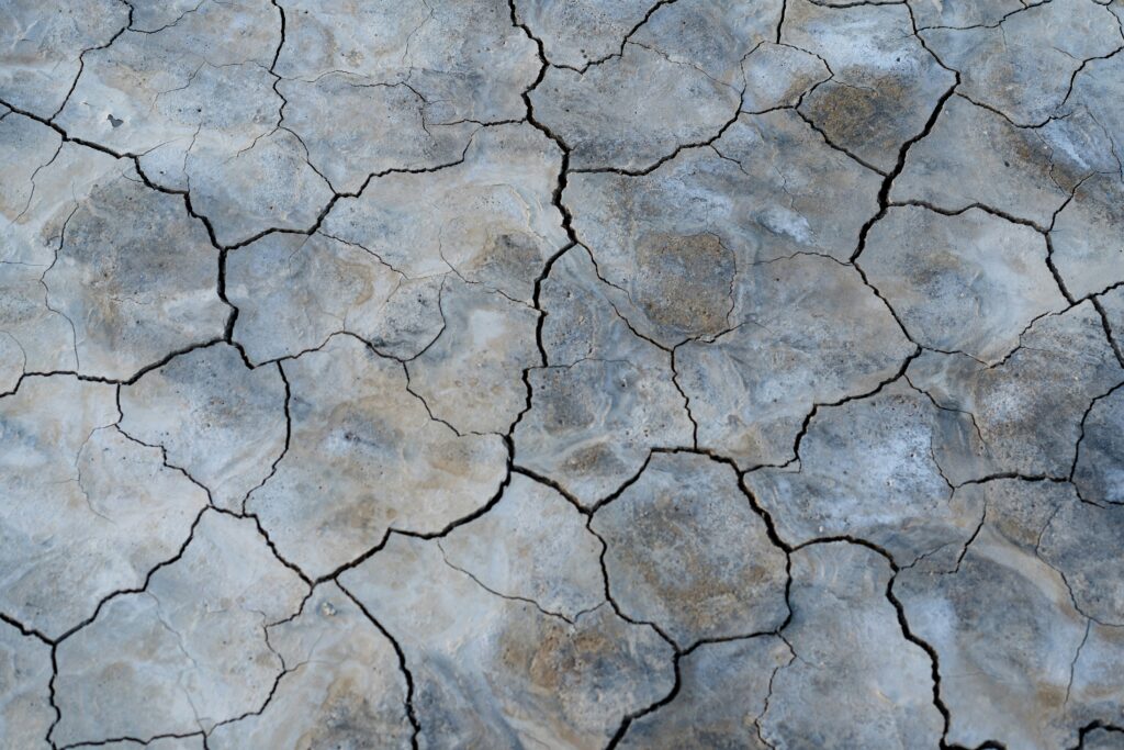 7 Unshakable Leadership Lessons: What You Sow Is What Will Show 3 Close-up of cracked desert ground symbolizing dry seasons and the unseen seeds that still carry promise—what you sow is what will show.